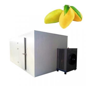 Industrial Fruit Drying Cassava Vegetable Food Meat Processing Vacuum Freeze Dryer Machine